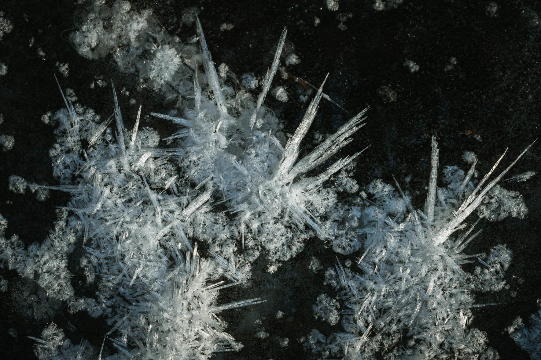 Macro photography of frozen puddle with ice crystals