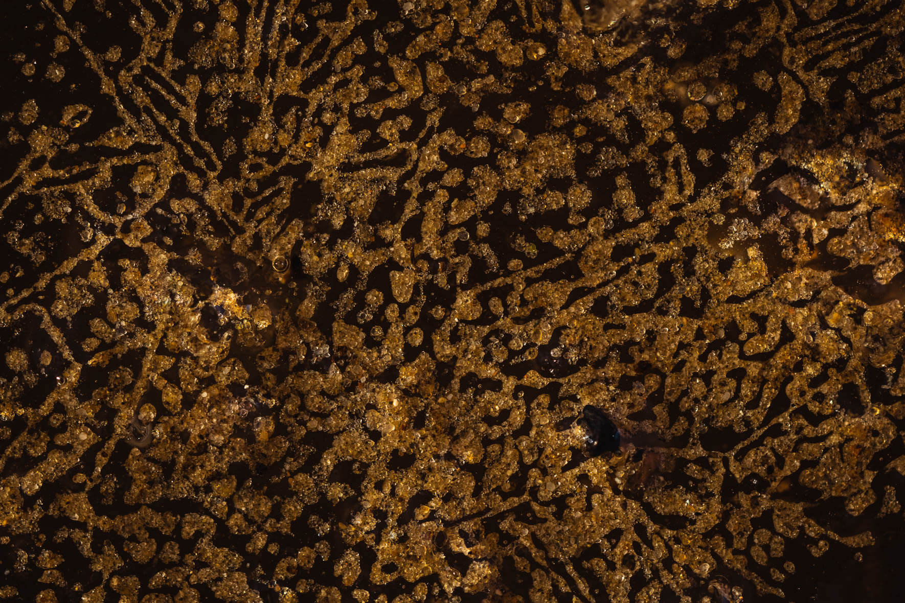 Abstract macro photography of ice with sand structures from a creek