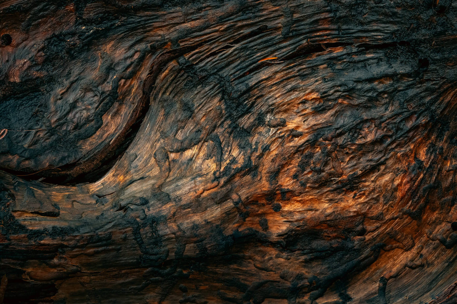 Colorful wet wood knot with swirling orange and brown tones around a hollow