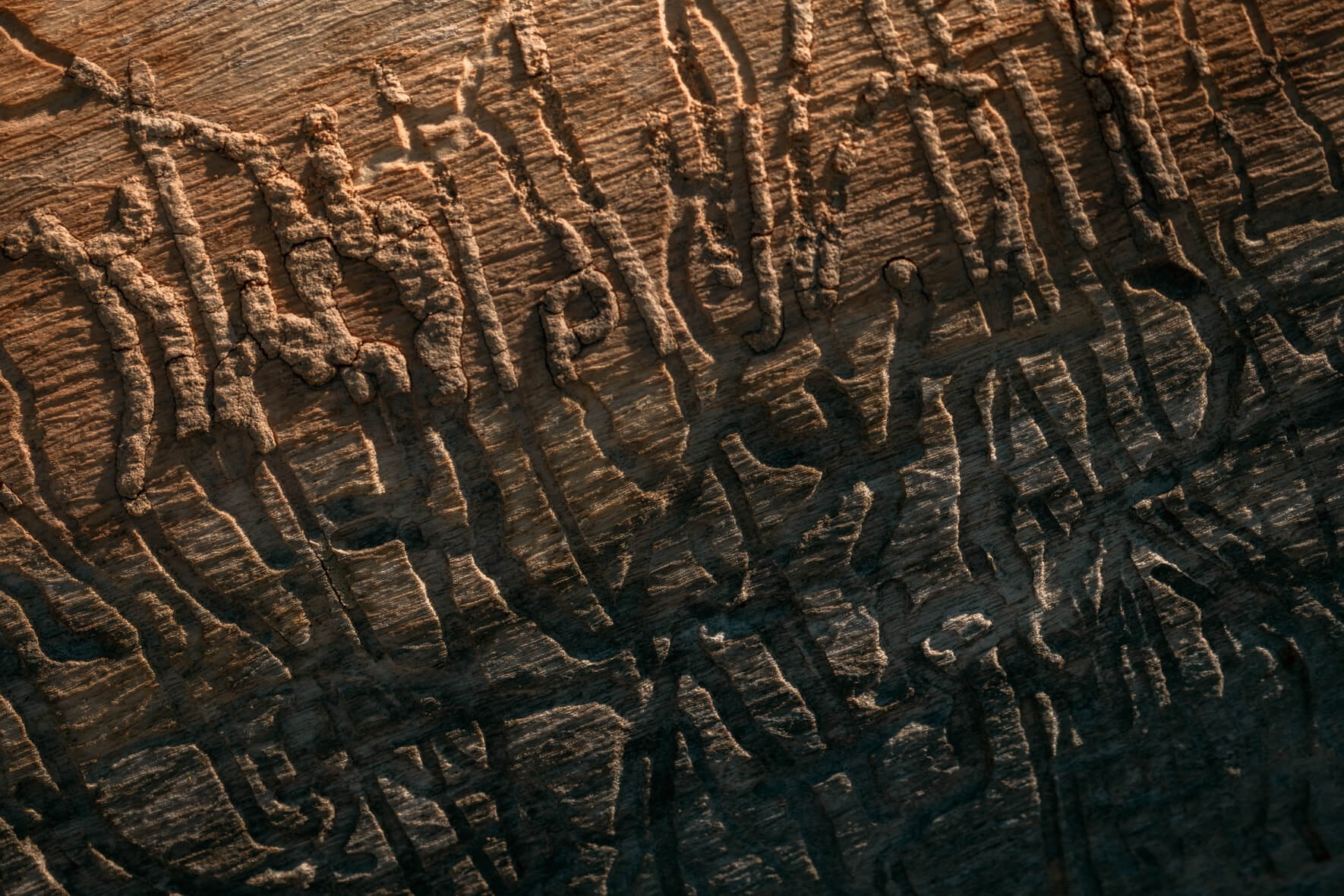 Abstract wood pattern with smooth markings and curves