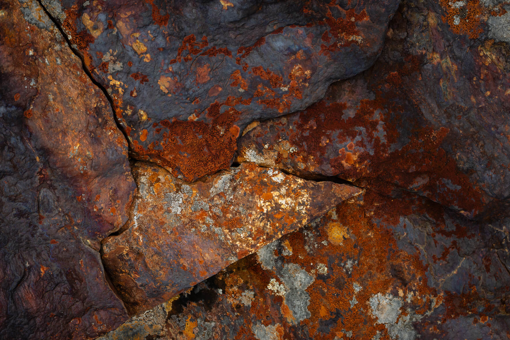 Close-up of metamorphic rock showing linear fractures and rust-colored oxidation