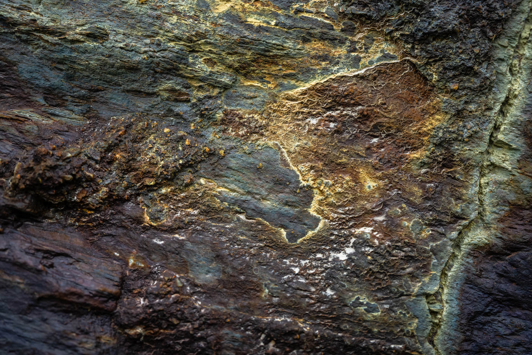 Macro of geological surface showing delicate fractures and pale mineral lines
