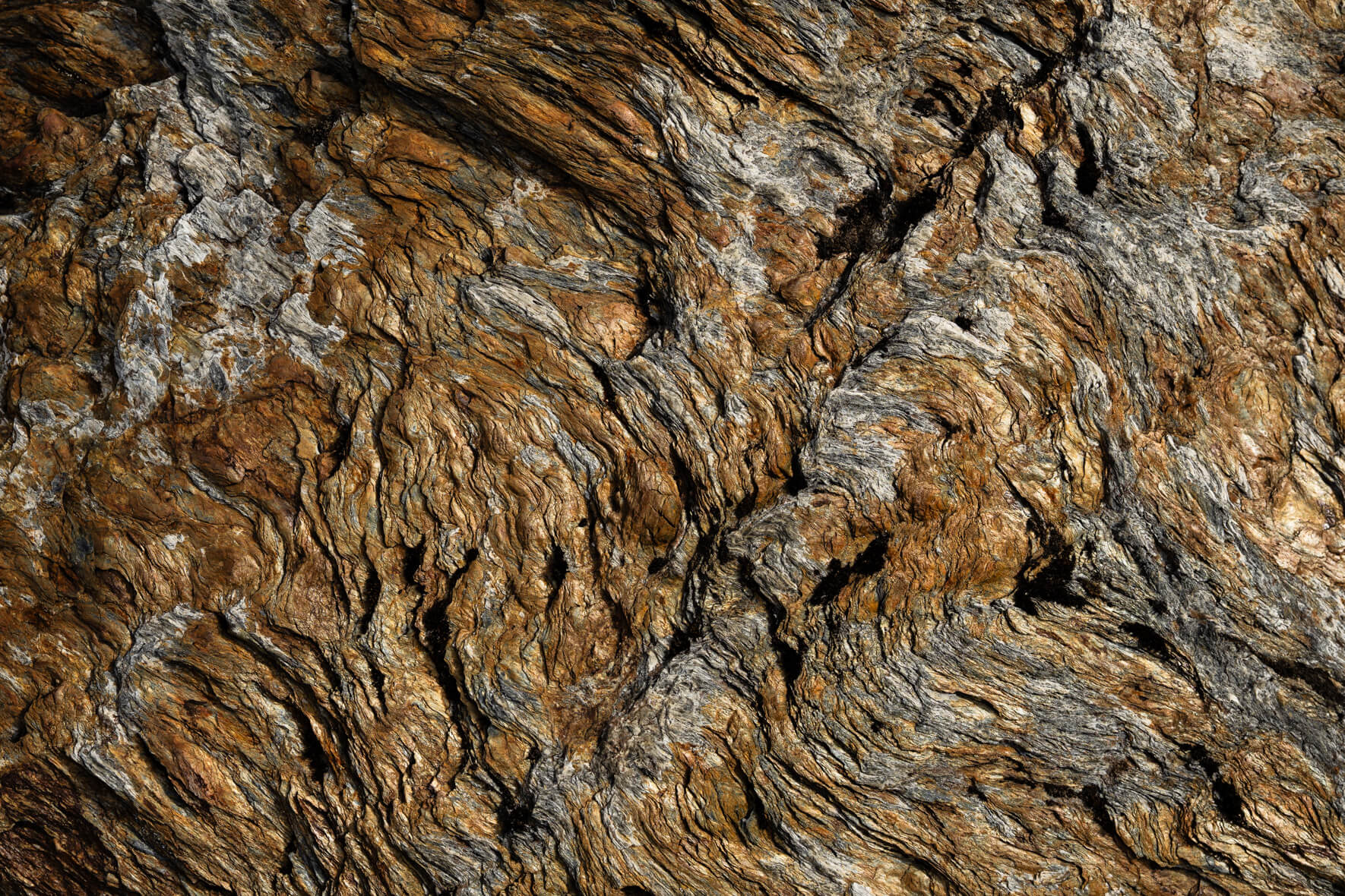 Detailed geological surface with layered structures and muted earth tones