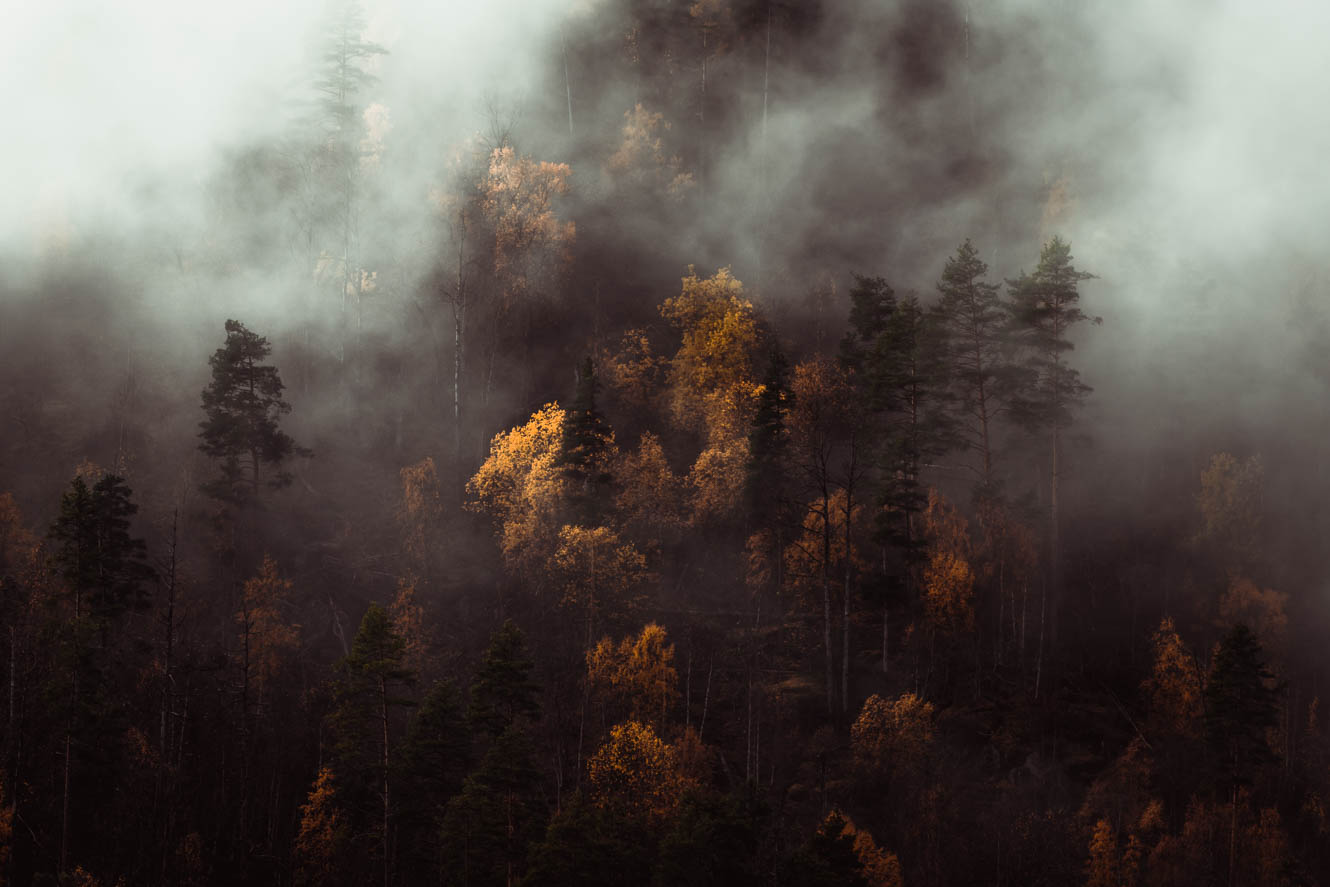 Dramatic clouds over a forest in Norway in autumn
