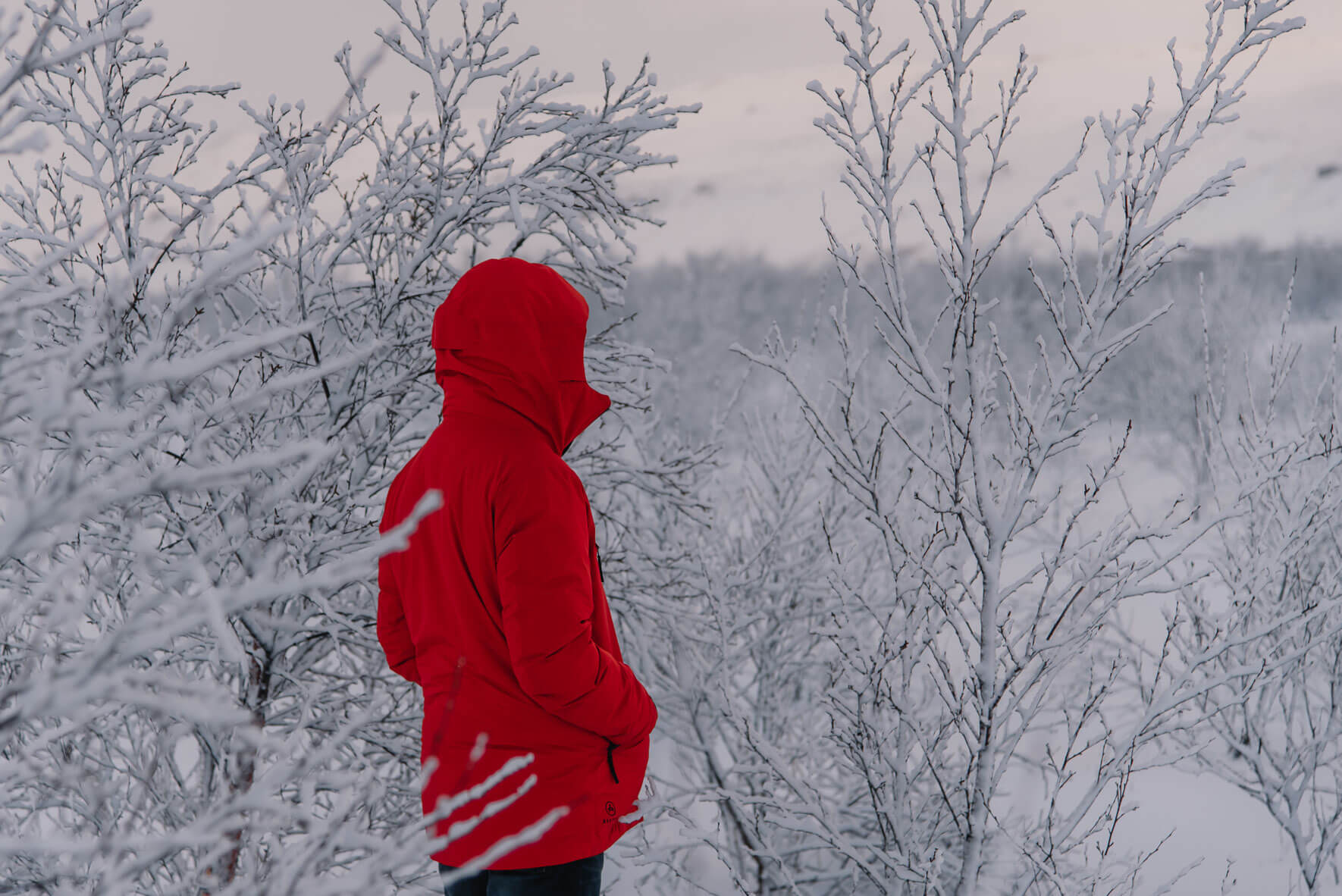 Red jacket in snowy forest in Iceland